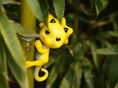 Najmanji dinosaurus ikada koji je koračao Zemljom