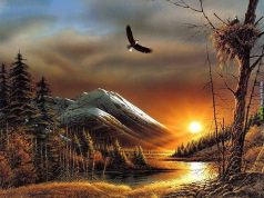 Indijanska teorija postojanja: SVE stvari imaju svoju svrhu!