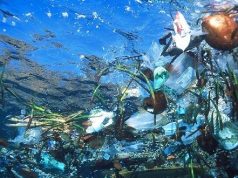 Ovo je top 10 kompanija koje najviše zagađuju okeane