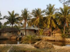 Sundarbans – život u „predivnoj šumi“: Narod sa samo tri zanimanja