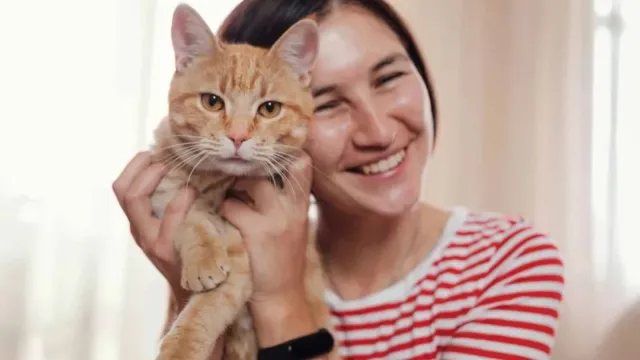 Da li nas mačke zaista čine sretnijima? Istraživanje obuhvatilo 93 države