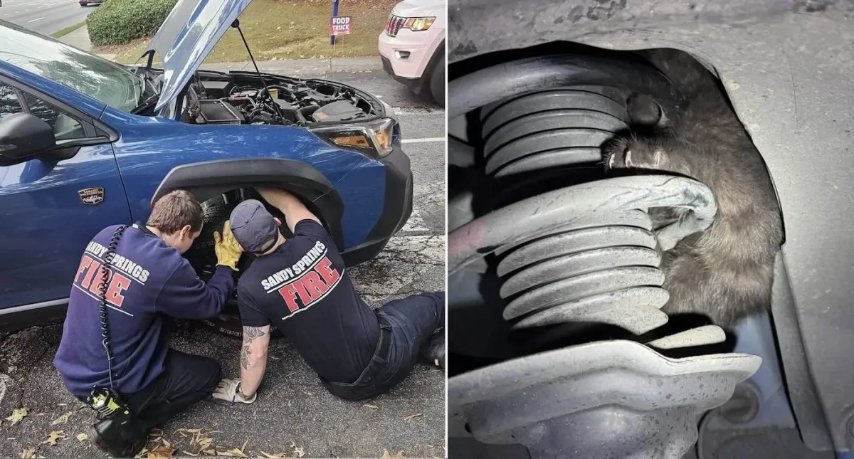 Malo crno mače sakriveno u motoru automobila priredilo bračnom paru najslađe iznenađenje za godišnjicu