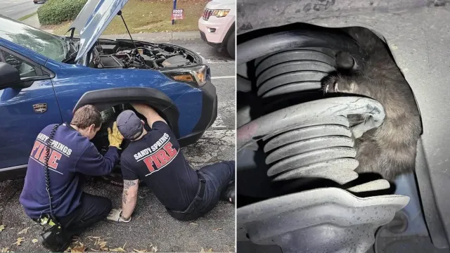 Malo crno mače sakriveno u motoru automobila priredilo bračnom paru najslađe iznenađenje za godišnjicu