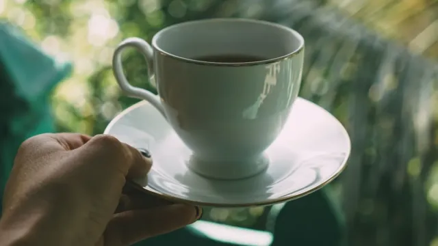 Mikroplastika u vašoj šoljici: Trebamo li zaista paničariti zbog omiljenog napitka?