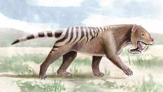 Misteriozni sabljasti predator iz Južne Amerike mijenja historiju prahistorije