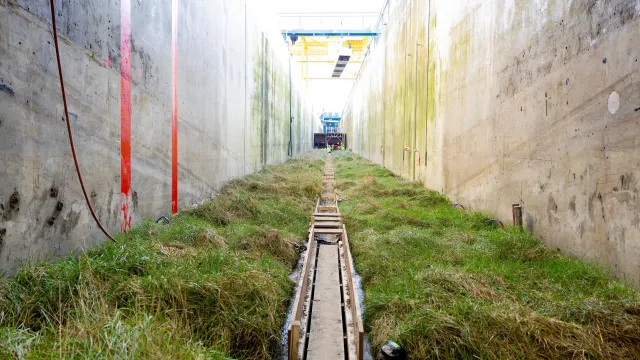 Naučnici presadili 306 kvadrata močvare u najveći generator valova na svijetu i testirali je olujom
