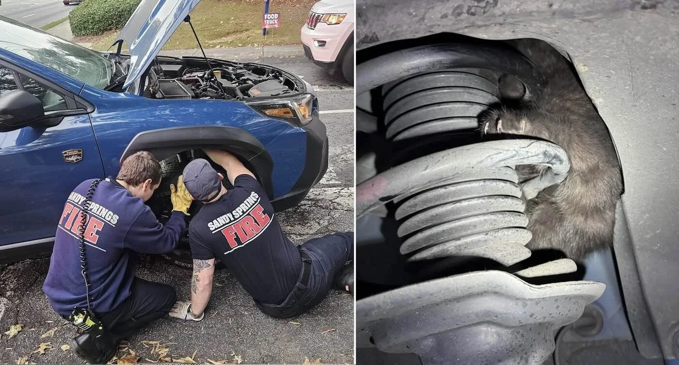 Služba spašavanja pomaže malom mačetu