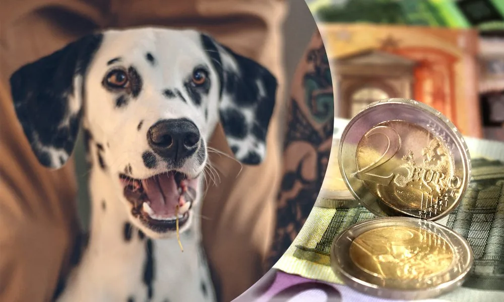 Pokrenuta je peticija da se na kovanicu eura stavi – dalmatinac