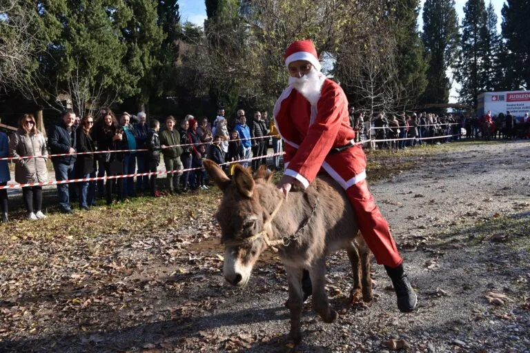 U Čapljini održana utrka Djeda Mrazova: “Bitno je trenirati sa magarcem” (FOTO)