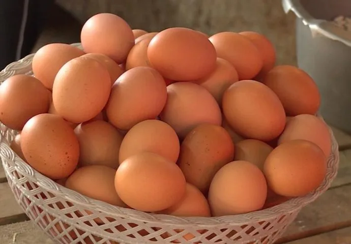 PRODUŽITE ROK TRAJANJA JAJIMA UZ SAMO JEDAN SASTOJAK IZ KUHINJE: Od sada ćete uvijek koristiti OVAJ TRIK