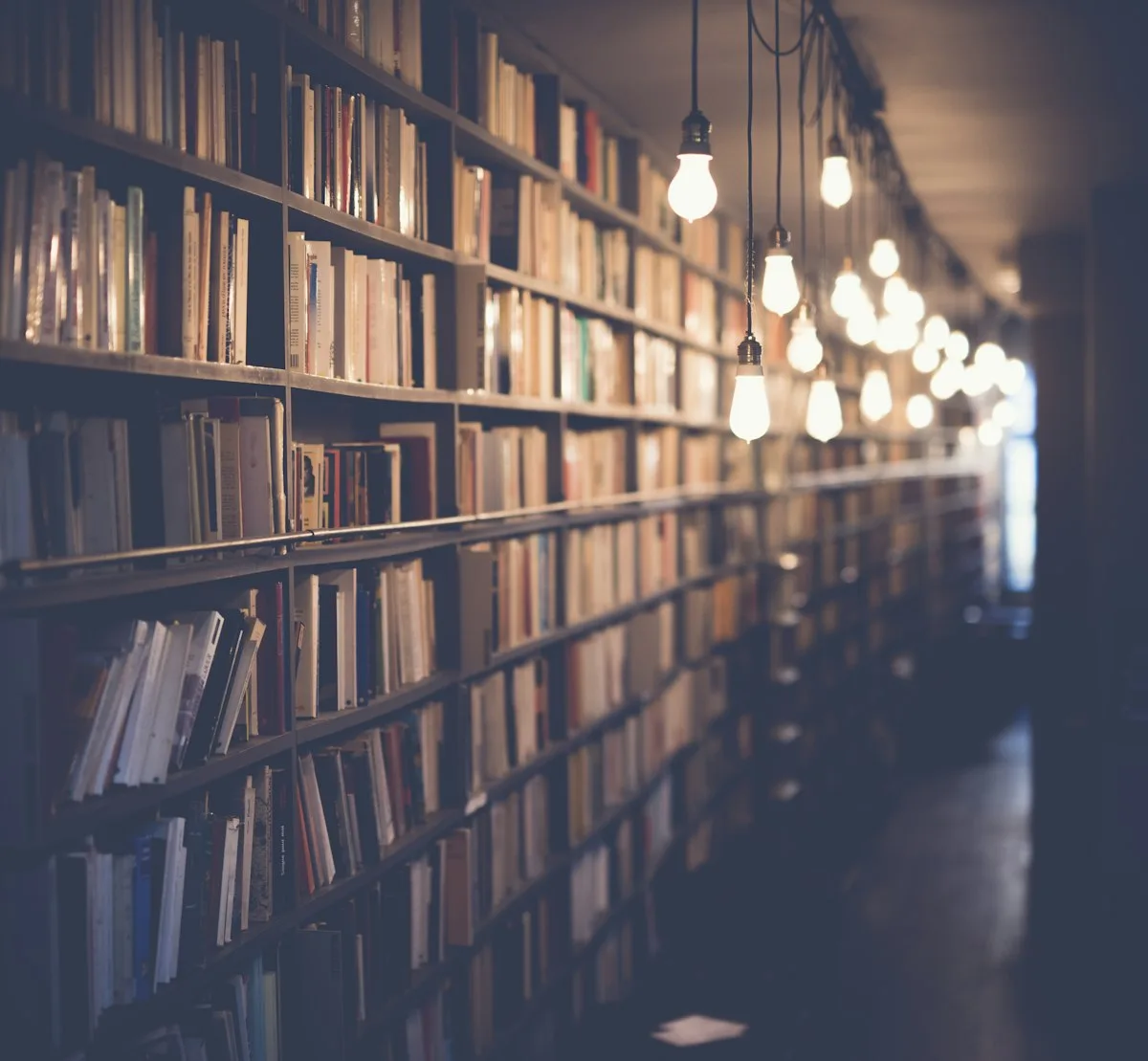 Angelina Jolie svjetske vođe naziva saučesnicima u zločinima u Gazi