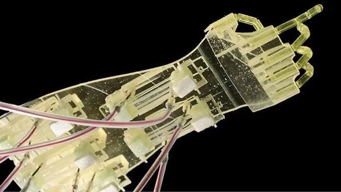 Naučnici razvili najveću “biohibridnu” robotsku ruku na svijetu
