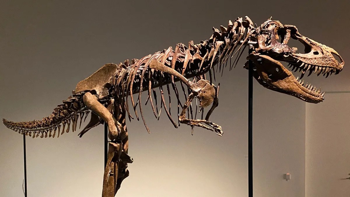 Pronađen jedan od najstarijih dinosaurusa