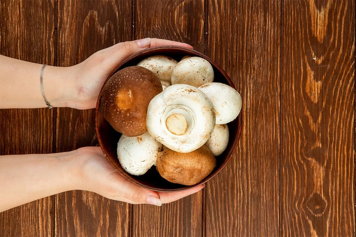 Vječna dilema ljubitelja gljiva: Treba li ih prati prije kuvanja ili ne?